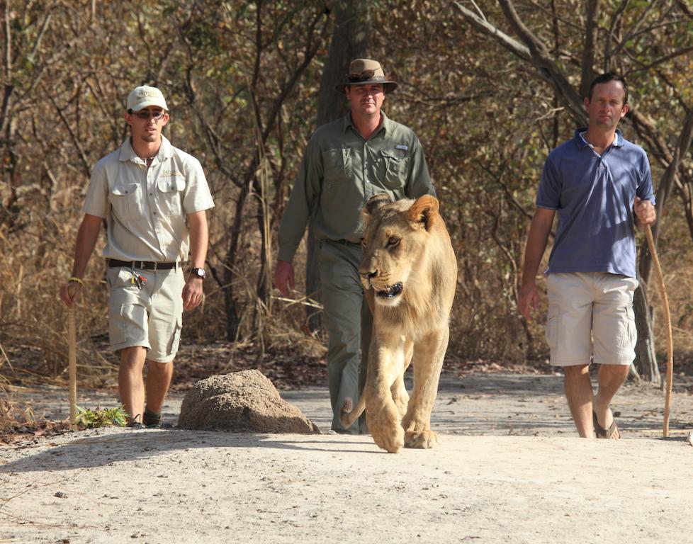 Fathala Wildlife Reserve Toubakouta Экстерьер фото