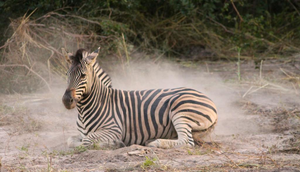 Fathala Wildlife Reserve Toubakouta Экстерьер фото