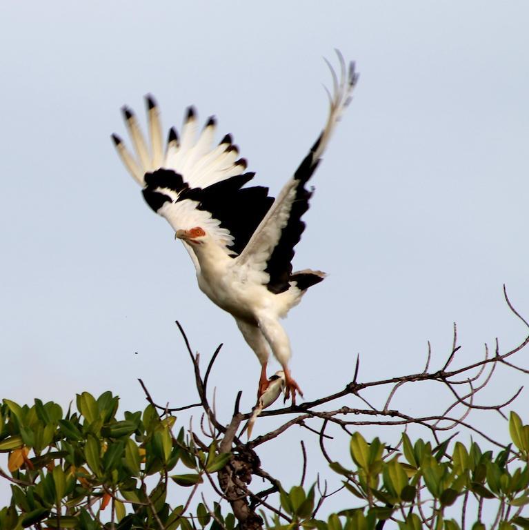 Fathala Wildlife Reserve Toubakouta Экстерьер фото