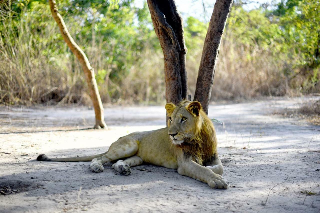 Fathala Wildlife Reserve Toubakouta Экстерьер фото