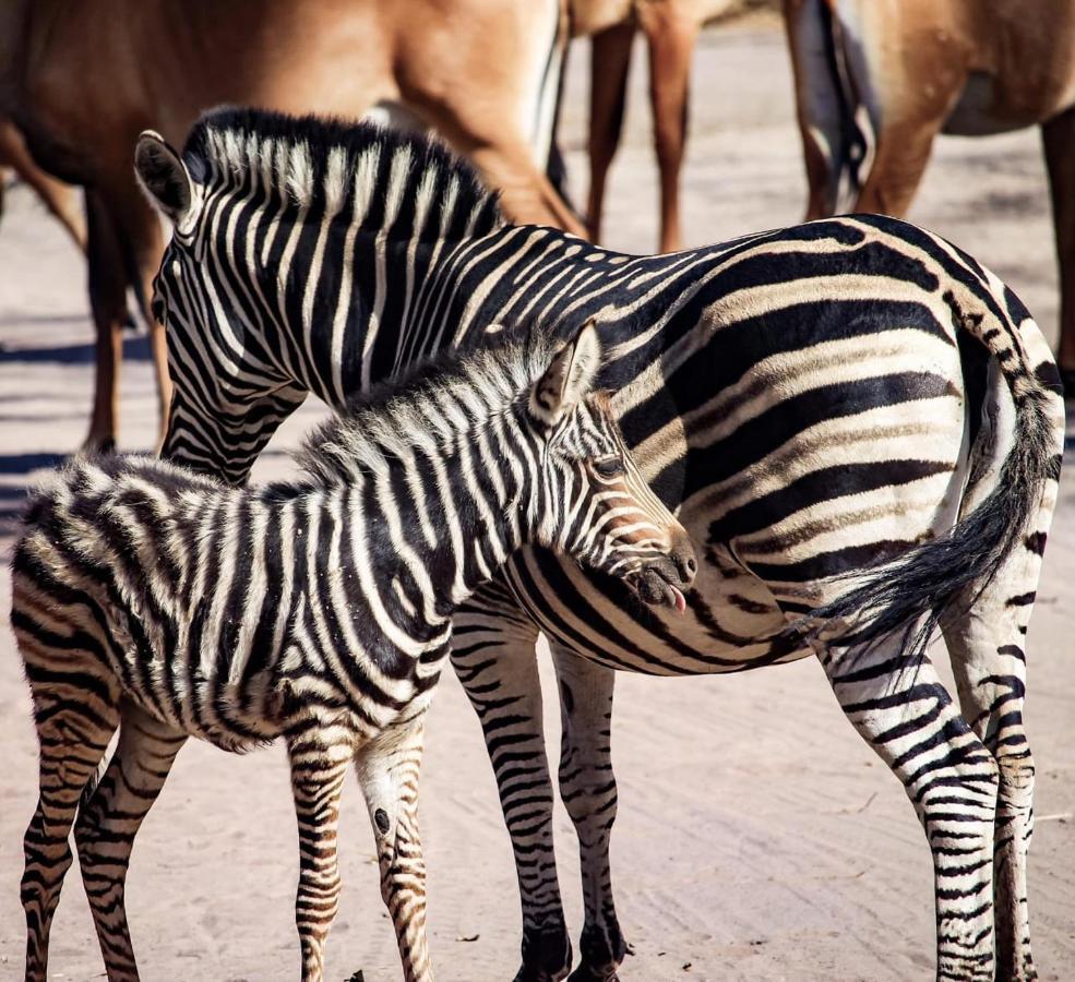 Fathala Wildlife Reserve Toubakouta Экстерьер фото
