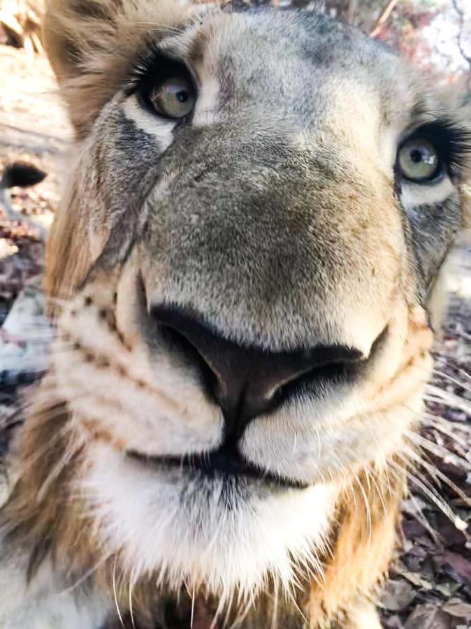 Fathala Wildlife Reserve Toubakouta Экстерьер фото